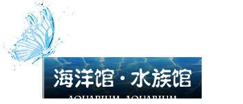 加德士潤滑油
